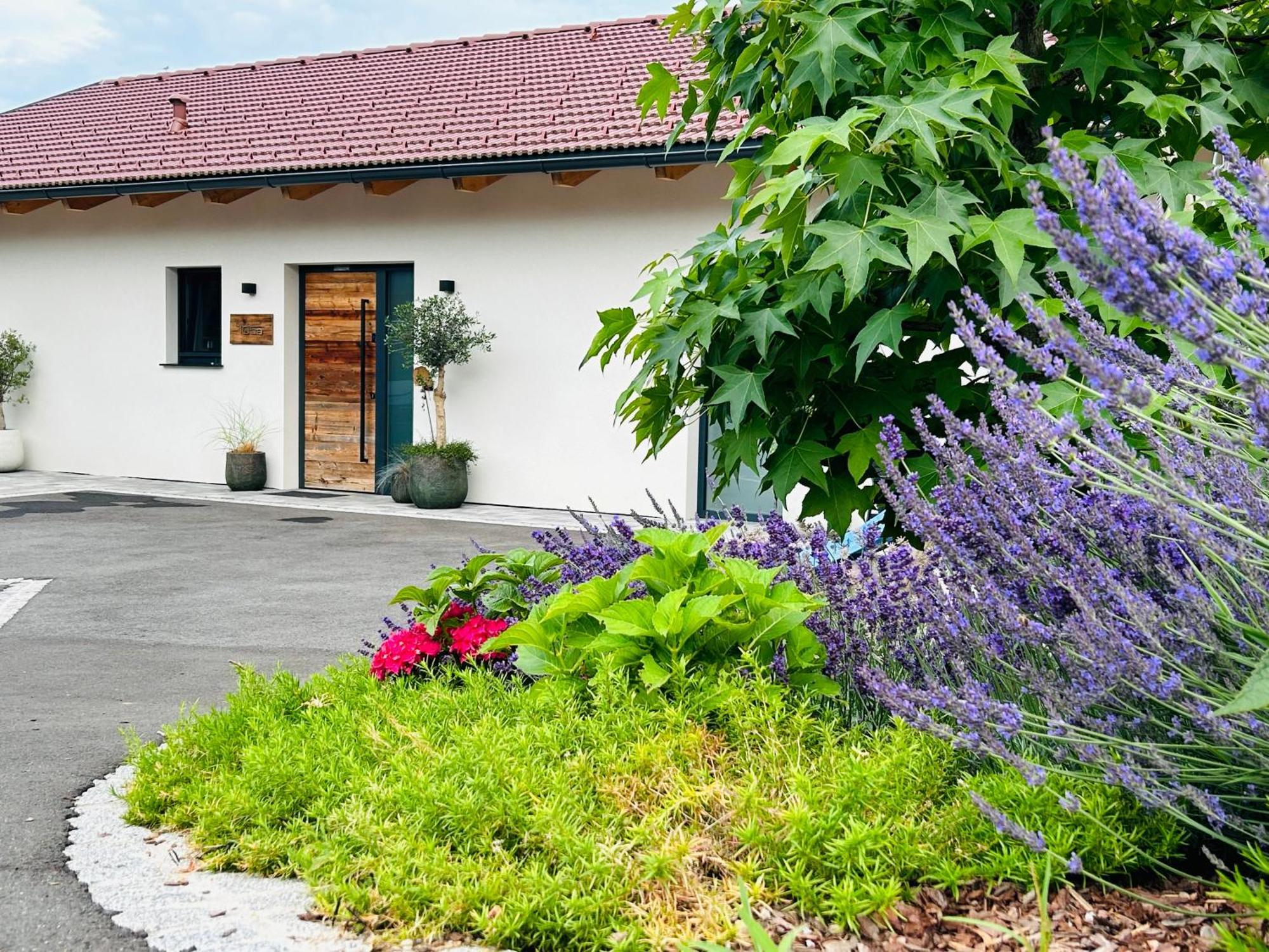 Traumhaus In Den Weinbergen - Max 8 Personen - Mit Self-Check-In Vila Sankt Stefan ob Stainz Exterior foto